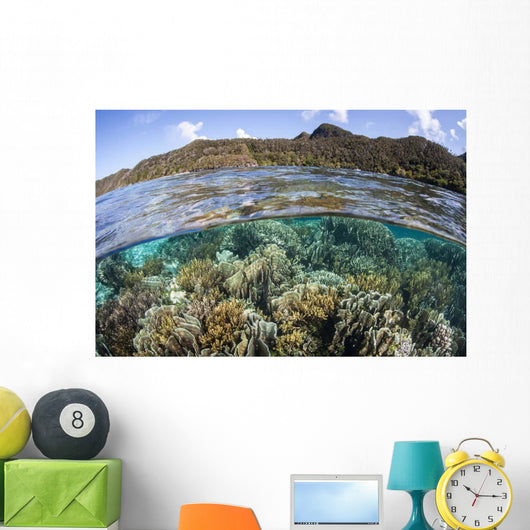 Beautiful Coral Reef Raja Wall Decal Design 7