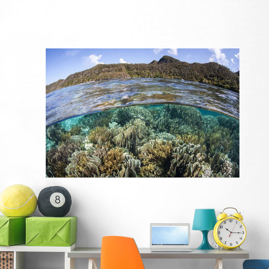 Beautiful Coral Reef Raja Wall Decal Design 7