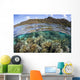 Beautiful Coral Reef Raja Wall Decal Design 7