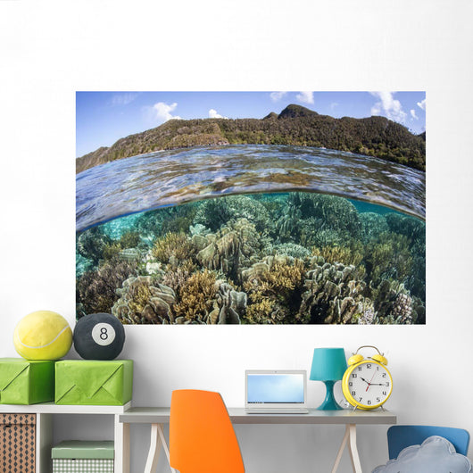 Beautiful Coral Reef Raja Wall Decal Design 7