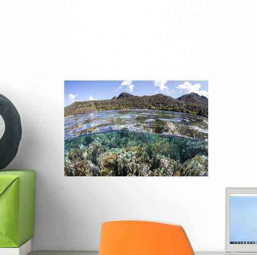 Diverse Array Corals Grow Wall Decal Design 6