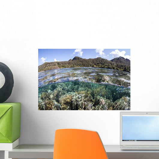 Diverse Array Corals Grow Wall Decal Design 6