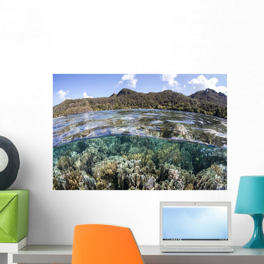 Diverse Array Corals Grow Wall Decal Design 6