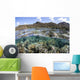 Diverse Array Corals Grow Wall Decal Design 6