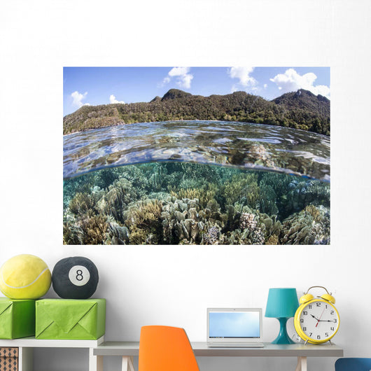 Diverse Array Corals Grow Wall Decal Design 6