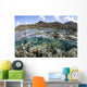 Diverse Array Corals Grow Wall Decal Design 6