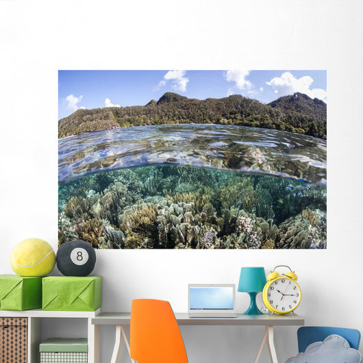 Diverse Array Corals Grow Wall Decal Design 6