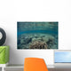 Diverse Array Corals Grow Wall Decal Design 5