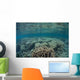 Diverse Array Corals Grow Wall Decal Design 5