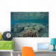 Diverse Array Corals Grow Wall Decal Design 5