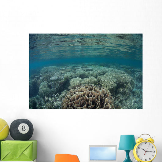 Diverse Array Corals Grow Wall Decal Design 5