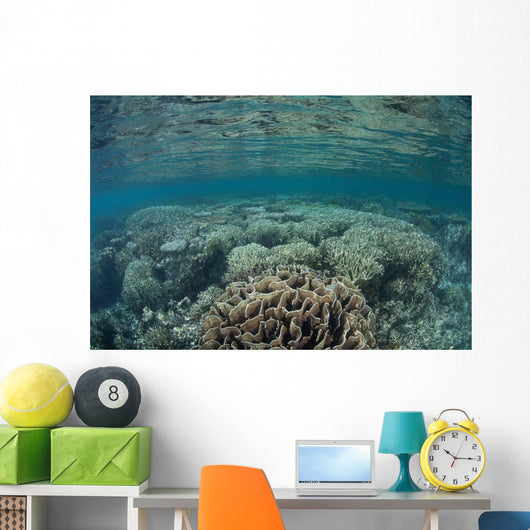 Diverse Array Corals Grow Wall Decal Design 5