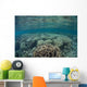 Diverse Array Corals Grow Wall Decal Design 5