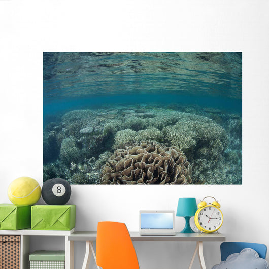Diverse Array Corals Grow Wall Decal Design 5