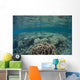 Diverse Array Corals Grow Wall Decal Design 5