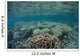 Diverse Array Corals Grow Wall Decal Design 5