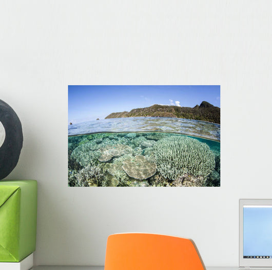 Beautiful Coral Reef Raja Wall Decal Design 6