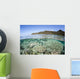 Beautiful Coral Reef Raja Wall Decal Design 6