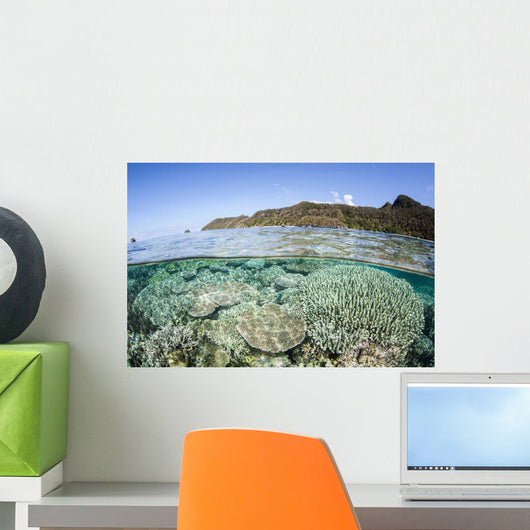 Beautiful Coral Reef Raja Wall Decal Design 6