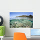 Beautiful Coral Reef Raja Wall Decal Design 6