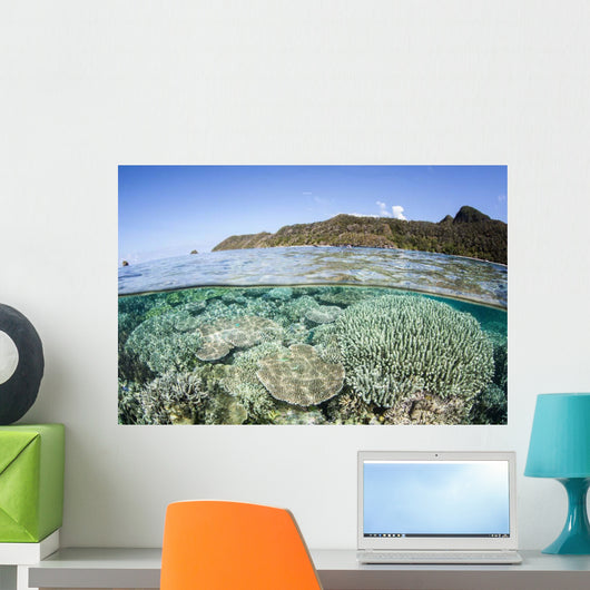 Beautiful Coral Reef Raja Wall Decal Design 6