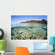 Beautiful Coral Reef Raja Wall Decal Design 6