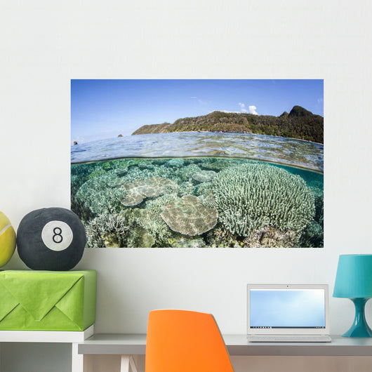 Beautiful Coral Reef Raja Wall Decal Design 6