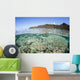 Beautiful Coral Reef Raja Wall Decal Design 6