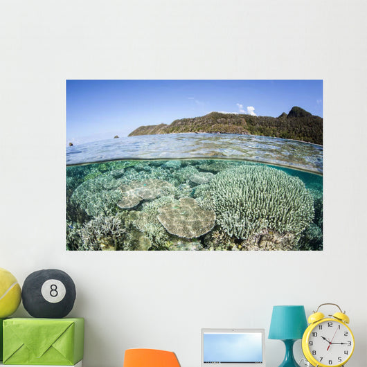 Beautiful Coral Reef Raja Wall Decal Design 6