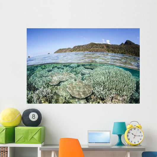 Beautiful Coral Reef Raja Wall Decal Design 6
