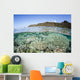 Beautiful Coral Reef Raja Wall Decal Design 6