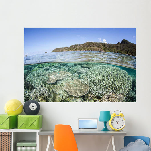 Beautiful Coral Reef Raja Wall Decal Design 6