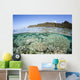Beautiful Coral Reef Raja Wall Decal Design 6