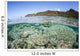 Beautiful Coral Reef Raja Wall Decal Design 6