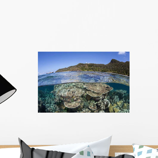 Beautiful Coral Reef Raja Wall Decal Design 5
