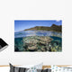 Beautiful Coral Reef Raja Wall Decal Design 5
