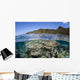 Beautiful Coral Reef Raja Wall Decal Design 5