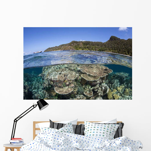 Beautiful Coral Reef Raja Wall Decal Design 5