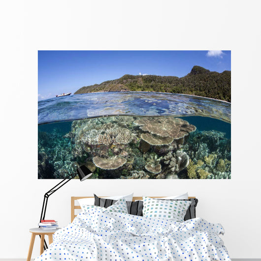 Beautiful Coral Reef Raja Wall Decal Design 5