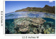 Beautiful Coral Reef Raja Wall Decal Design 5