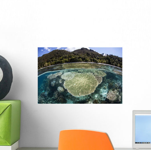 Beautiful Coral Reef Raja Wall Decal Design 4
