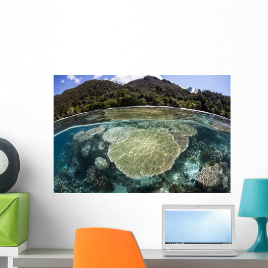 Beautiful Coral Reef Raja Wall Decal Design 4