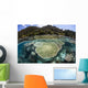 Beautiful Coral Reef Raja Wall Decal Design 4