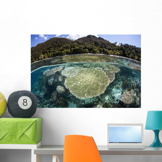 Beautiful Coral Reef Raja Wall Decal Design 4