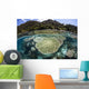 Beautiful Coral Reef Raja Wall Decal Design 4