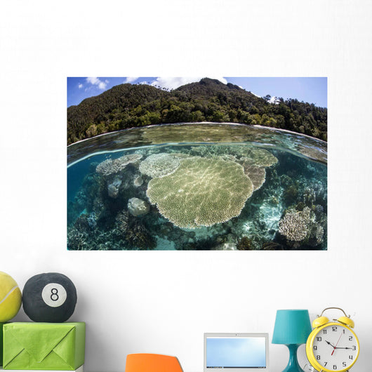 Beautiful Coral Reef Raja Wall Decal Design 4