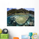 Beautiful Coral Reef Raja Wall Decal Design 4
