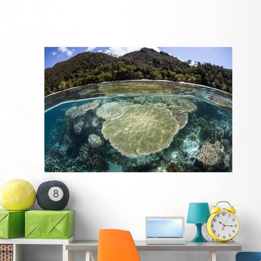Beautiful Coral Reef Raja Wall Decal Design 4