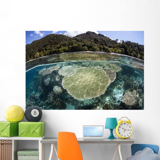 Beautiful Coral Reef Raja Wall Decal Design 4