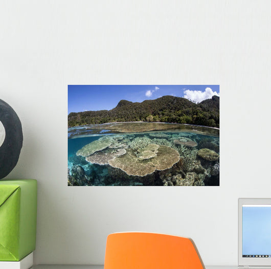 Beautiful Coral Reef Raja Wall Decal Design 3
